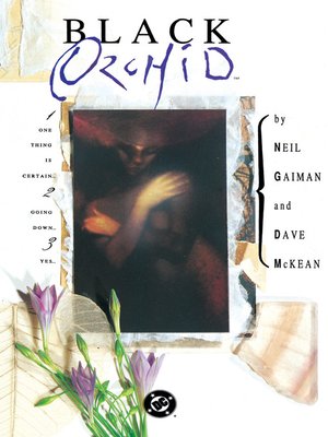 cover image of Black Orchid